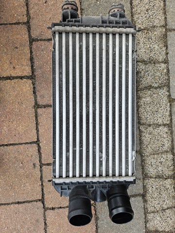 Comprar 9824742280 Fiat/Alfa/Lancia Turbo intercooler