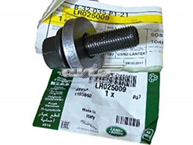  Land Rover LR025009