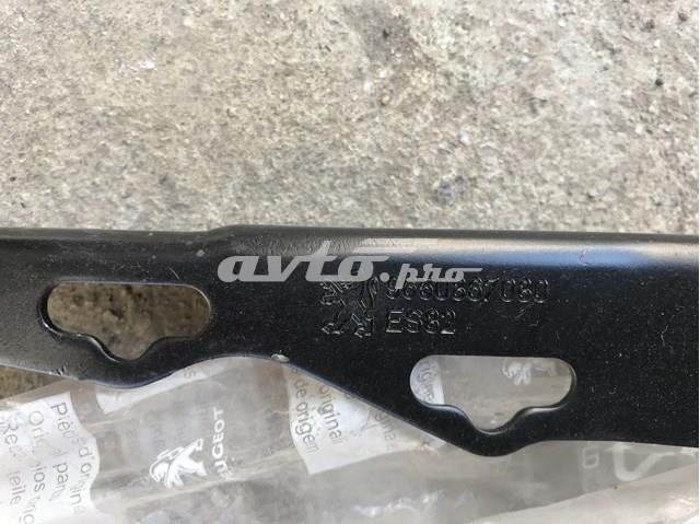  Peugeot/Citroen 9650867080 precio, desde 39,20 EUR