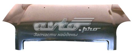 Capot FPS FP2804280