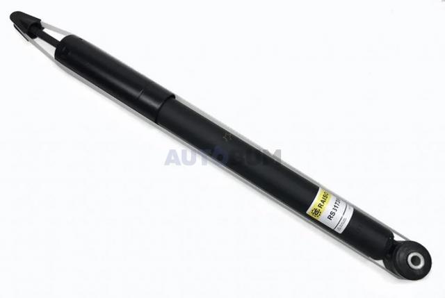 Amortiguadores traseros Raiso RS317384