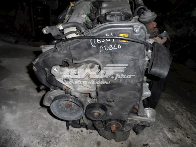 Motor completo Fiat/Alfa/Lancia 182B4000 precio, desde 412,37 EUR