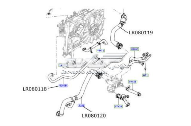 LR080120 Land Rover manguera refrigerante para radiador inferiora