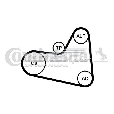 6PK976K1 Continental/Siemens correa de transmision, juego completo