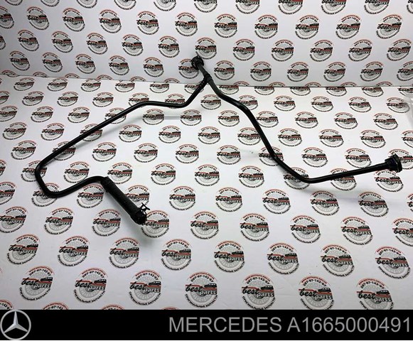 A1665000491 Mercedes