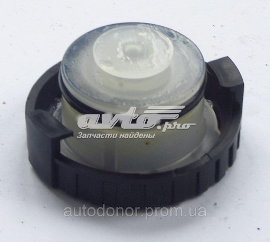 Tapa Tanque Del Cilindro De Freno Principal Nissan LEAF (ZE0)