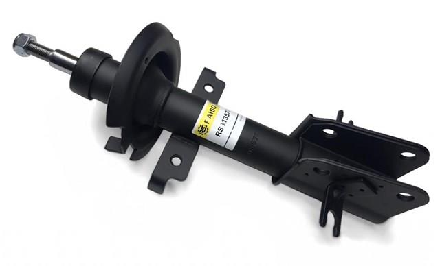 RS313577 Raiso Amortiguador frontal