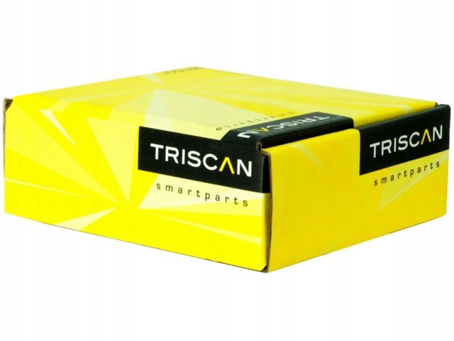 850016176 Triscan boquilla de dirección