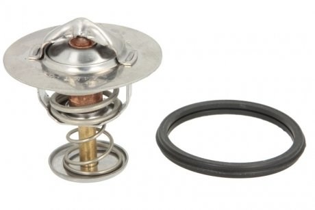 Termostato, refrigerante THERMOTEC D25001TT
