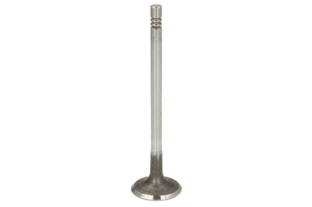 Comprar 9814152480 Peugeot/Citroen Válvulas de admisión
