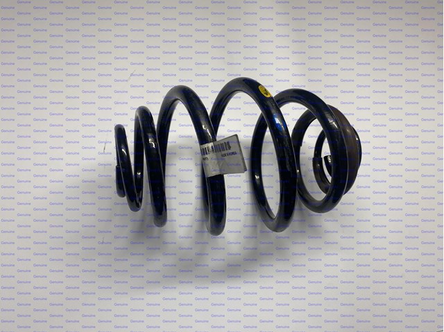 Muelle de suspensión trasero General Motors 96392401 precio, desde 30,03 EUR