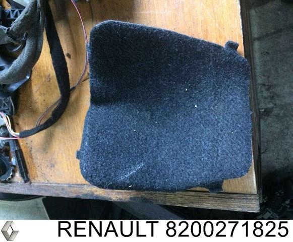 8200271825 Renault (RVI)