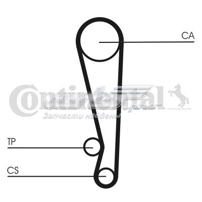 CT1024K1 Continental/Siemens kit correa de distribución