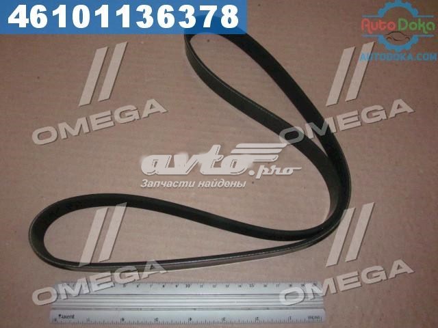 Correa de alternador 6PK1059 Dayco