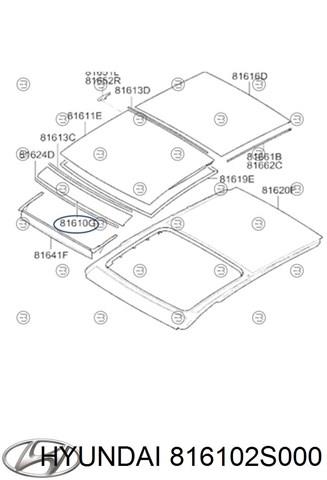 Tapa del portón del techo delantero para Hyundai Ix35 (LM)