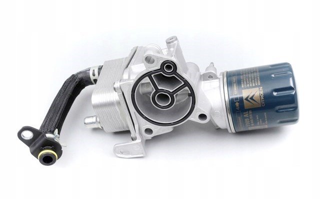 Comprar 9809475780 Peugeot/Citroen Portafiltro de aceite