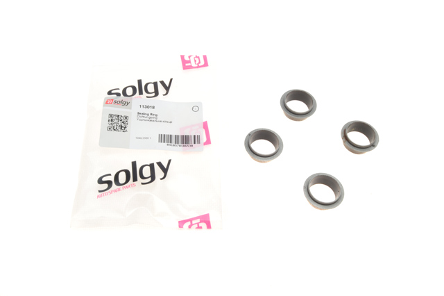 Kit de reparación de inyectores Solgy 113018