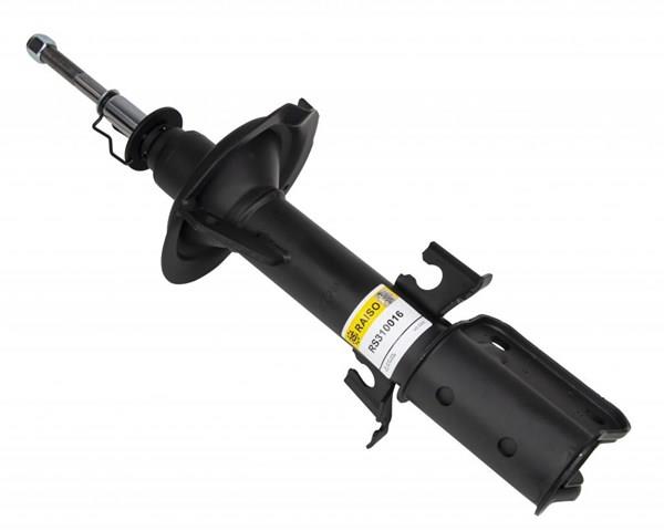 Amortiguadores Raiso RS310016 precio, desde 68,95 EUR