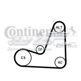 Correa de transmisión, completo Continental/Siemens 5PK1200K1 precio, desde 61,56 EUR