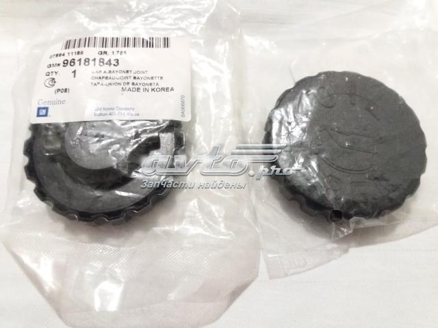 Tapon de aceite  General Motors 96181843 precio, desde 2,88 EUR