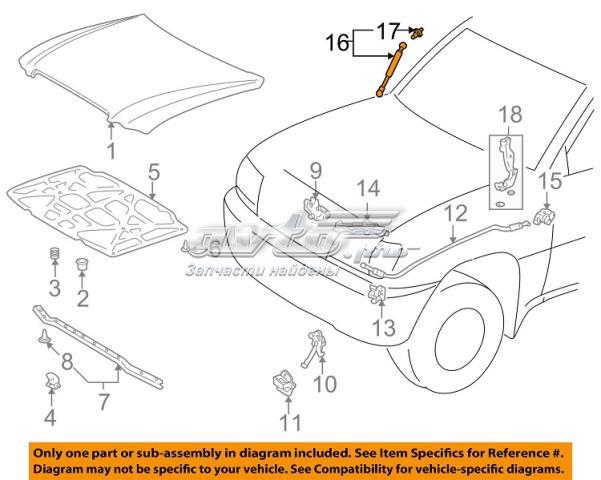 5344069036 Toyota muelle neumático, capó de motor izquierdo