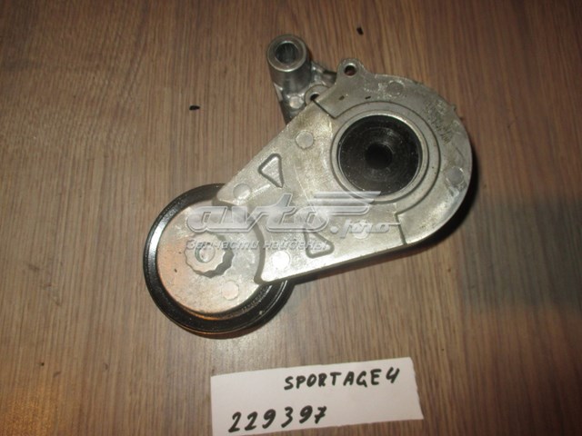 252812E300 Hyundai/Kia tensor de correa, correa poli v