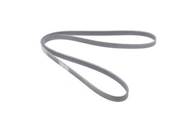 Correa accesorios Continental/Siemens 5PK1585