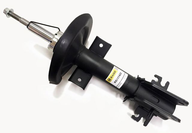 RS317422 Raiso Amortiguador frontal