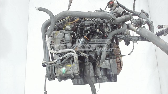 K9K712 Renault (RVI) Motor completo