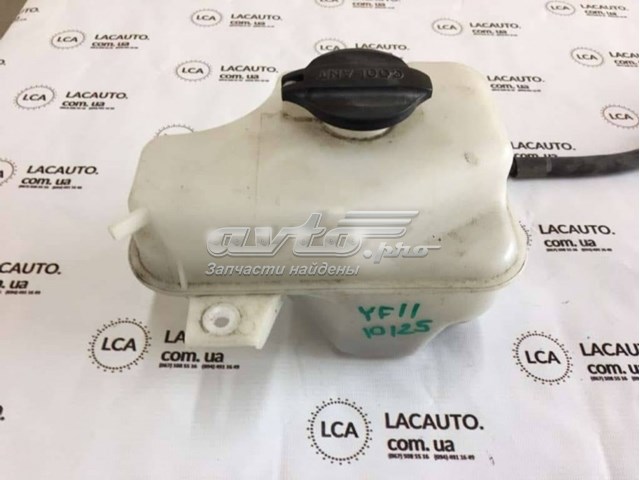 254293S100 Hyundai/Kia botella de refrigeración