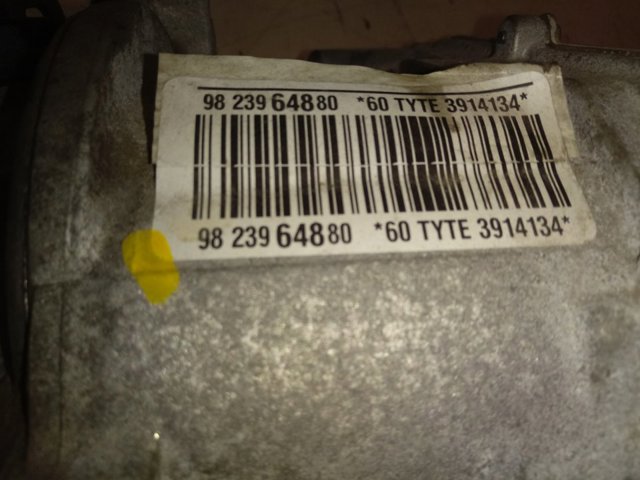 9823964880 Peugeot/Citroen 