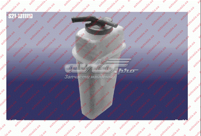  Vaso de expansión Chery QQ6 