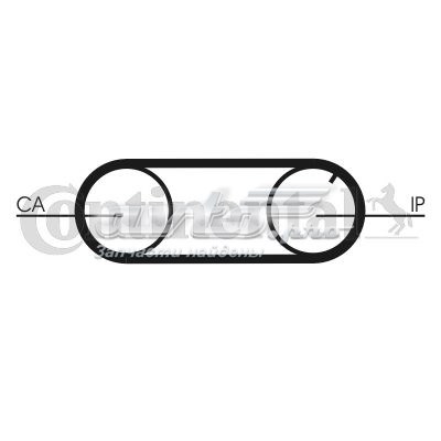Comprar CT641 Continental/Siemens Correa de la bomba de inyección