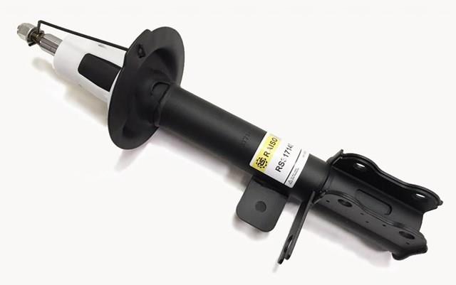 Comprar RS317140 Raiso Amortiguador trasero derecho