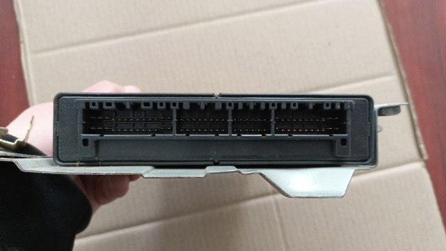 MK386857 Mitsubishi 