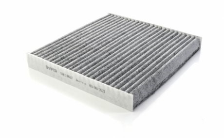 SAK24687 Shafer Filtro antipolen
