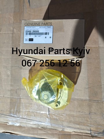 251002R000 Hyundai/Kia