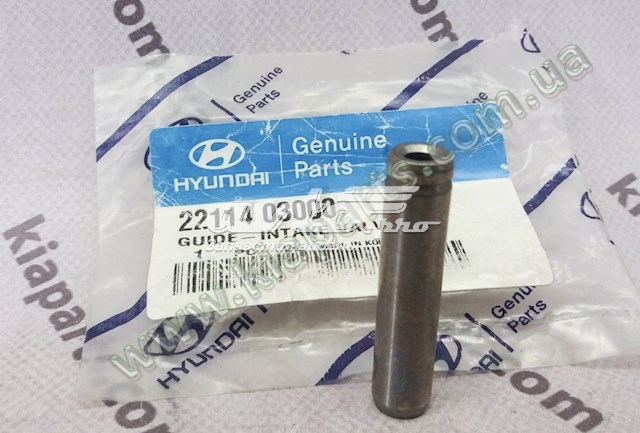 Guía de válvula Hyundai I10 (PA)