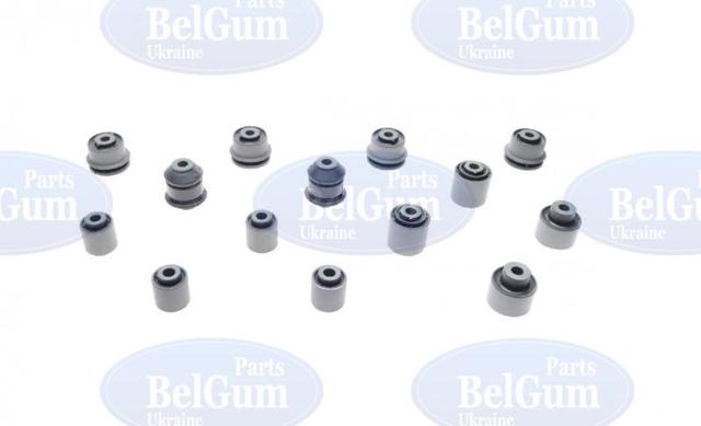 BGKIT11 Belgum Juego de bujes de la suspensión trasera