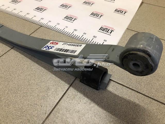  2T145560ER0019ZT TES