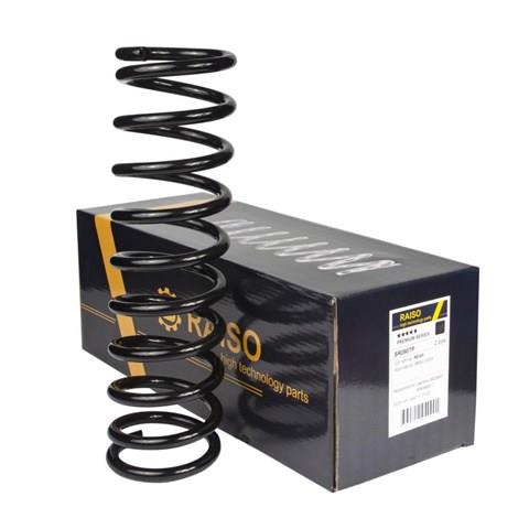 SR090TP Raiso Muelle trasero
