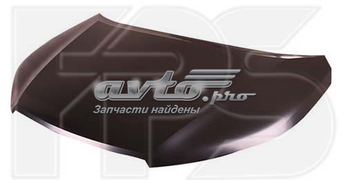 Capot FPS FP6402280