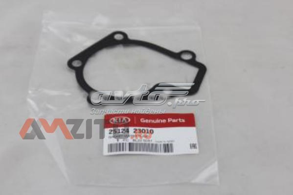 2512423010 Hyundai/Kia junta, bomba de agua