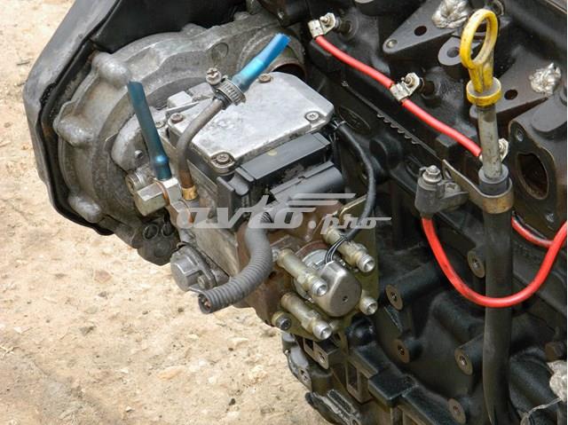 Motor completo Ford Fiesta Mk4 hatchback (JAS, JBS) (1996 - 2002) precio, desde 608,39 EUR