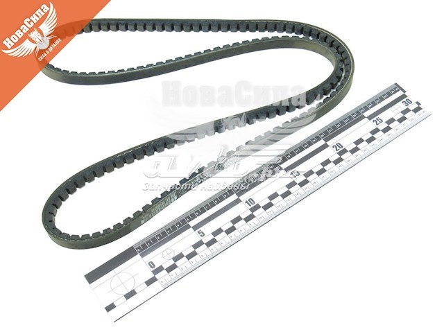13A1450C Dayco Correa poly v