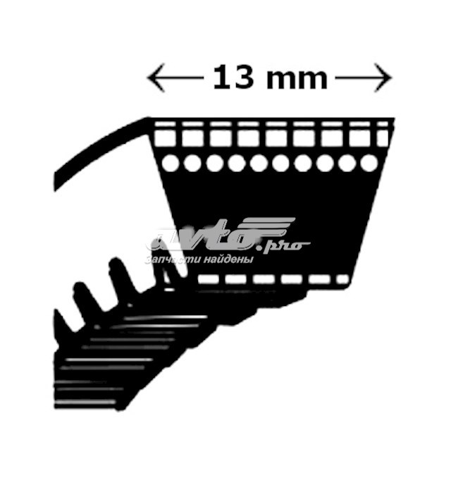 0205011489 Aa-top correa trapezoidal