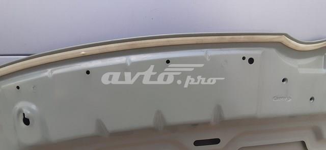 SYCV009G002 Simyi Capó delantero