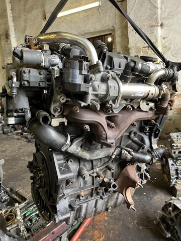 Comprar D4204T Peugeot/Citroen Motor completo