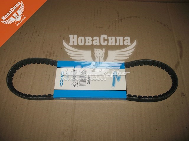 13A0800C Dayco Correa poly v