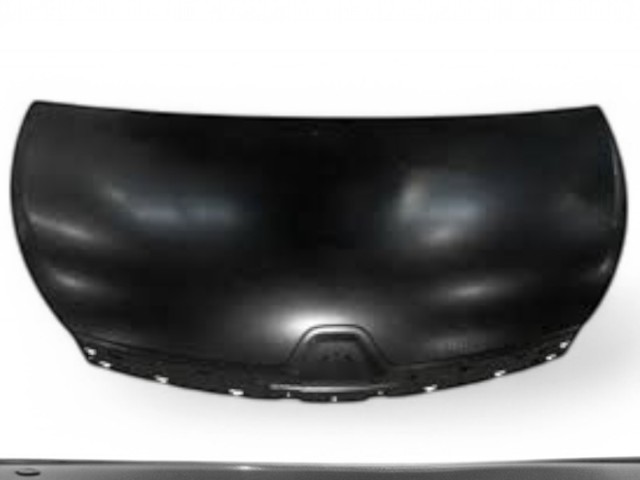 Capó del motor FPS FP5642280 precio, desde 435,85 EUR